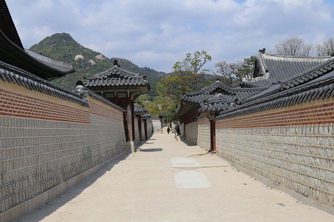 Gyeongbokgung Palace Private Half-Day Tour - Your Private Guided Tour