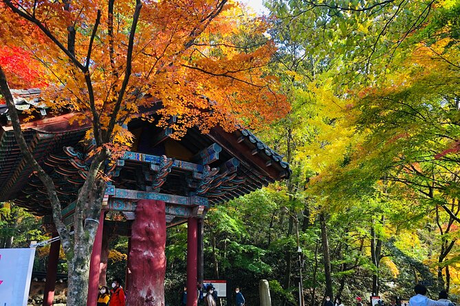 Mt. Naejang Autumn Foliage and Jeonju Hanok Village 1 Day Tour - What to Expect on This Tour