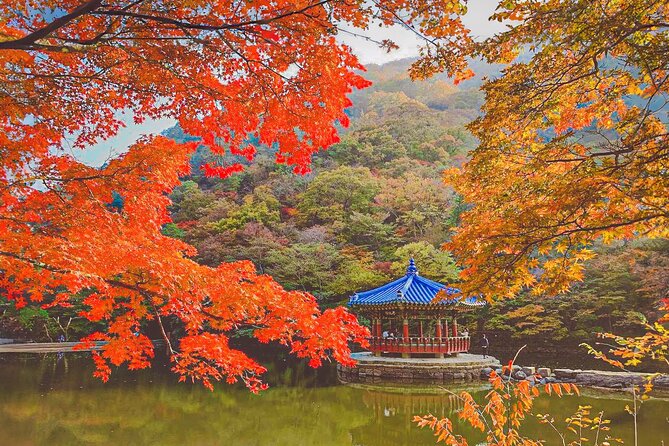 Mt. Naejang Sightseeing Trip From Seoul - Mt. Naejang National Park Attractions