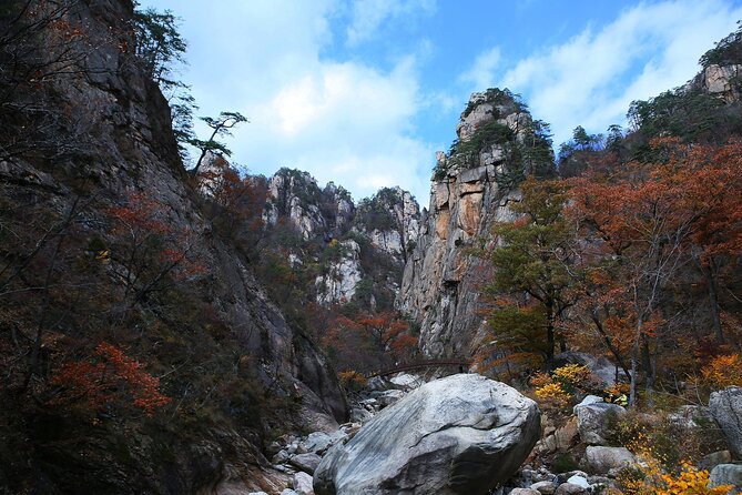 Mt. Seorak & The Tallest Ginko Tree at Yongmunsa - History of the Ginkgo Tree