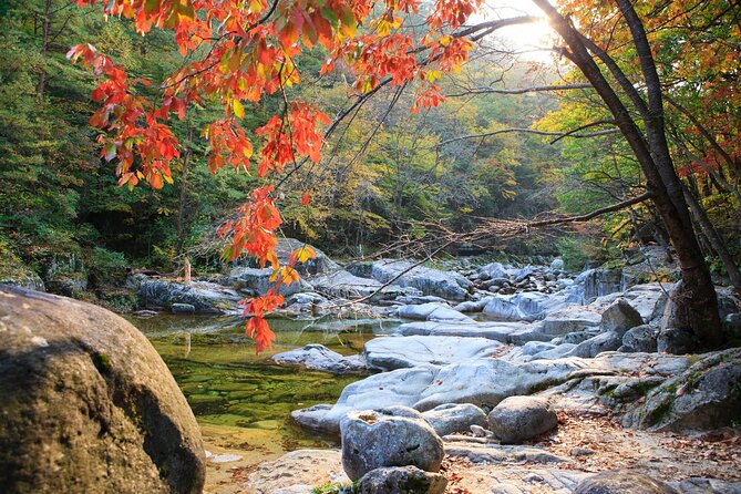 Odaesan National Park Autumn Foliage Tour - Travel and Transportation Details