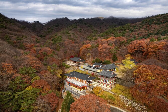 Palgongsan Natural Park Autumn Foliage One Day Tour From Busan - Meeting and Pickup Details