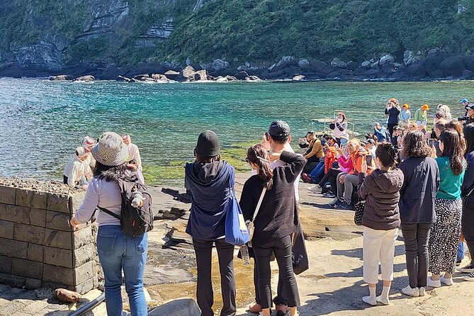 Private Tour East UNESCO Place & Stone Park in Jeju Island - Pickup and Meeting Arrangements