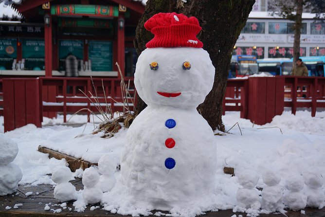 [Private Tour] Nami Island & Ski (Ski Lesson, Equip & Clothing Included) - Included Activities and Services