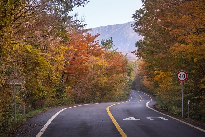 Scenic Jiri Mountain Autumn Foliage One Day Tour - What to Expect on the Tour