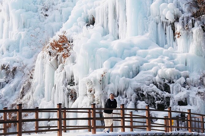 Shared Korean Winter Tour at Nami Island With Professional Guide - Professional Guide and Logistics