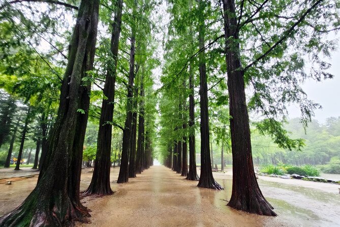 Small-Group Full-Day Tour in Nami Island From Seoul, Korea - Important Notes and Reminders