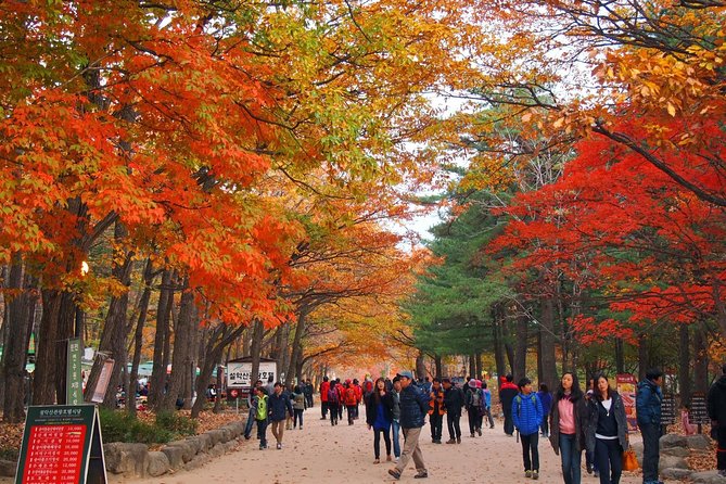 The Beauty of the Korea Fall Foliage Discover 9days 8nights - Meeting and Pickup Information