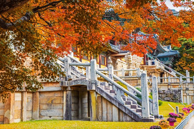 2-Day Rail Tour to Gyeongju and Busan From Seoul - Accommodation and Meal Inclusions