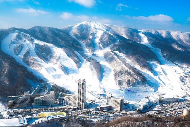 2D 1N Phoenix Pyeongchang Reseot Stay + Trout Ice-Fishing Festival Tour - Transportation and Logistics