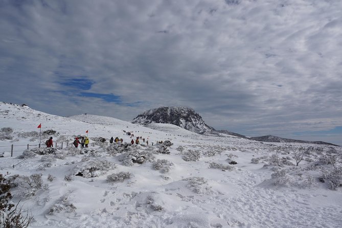 [5-Days Jeju] Private Customized Hiking(Hallasan & Olle Course) With Mountaineer - Important Health and Safety Notes