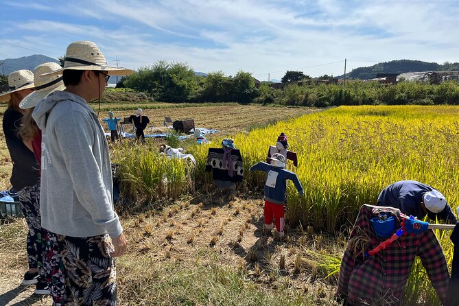 Art and Culture Welchon Fiesta Tour in Yeoncheon and Pocheon - Inclusions and What to Expect