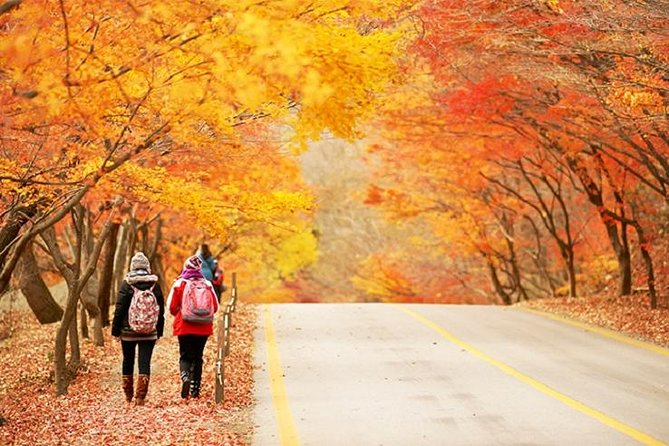 Autumn 3 Days Jeonju&Mt. Naejansan&Seoul on 4-12 Nov - Tour Inclusions and Perks