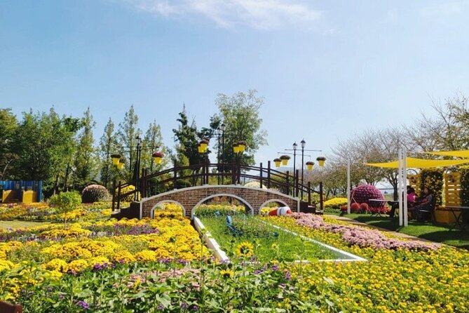 Boseong Tea Plantation & Suncheon National Garden[Train+Bus] - Discovering Suncheon National Garden