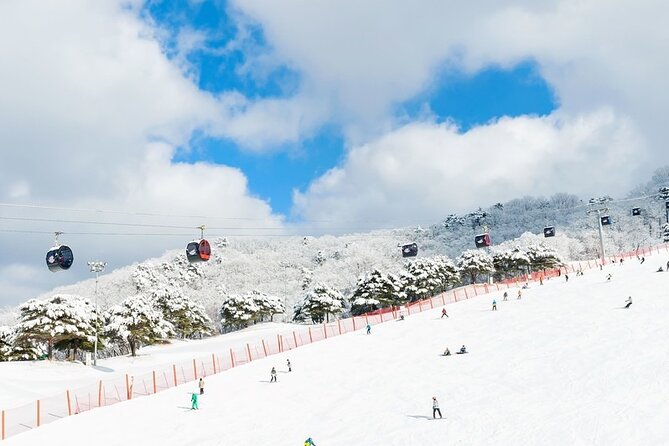 Enjoy Korea Ski Tour and Winter Ocean For 5D 4N - Meals and Ski Packages