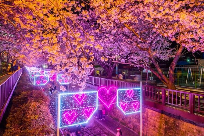 Full-Day Jinhae Cherry Blossom Festival Private Tour - Tour Logistics