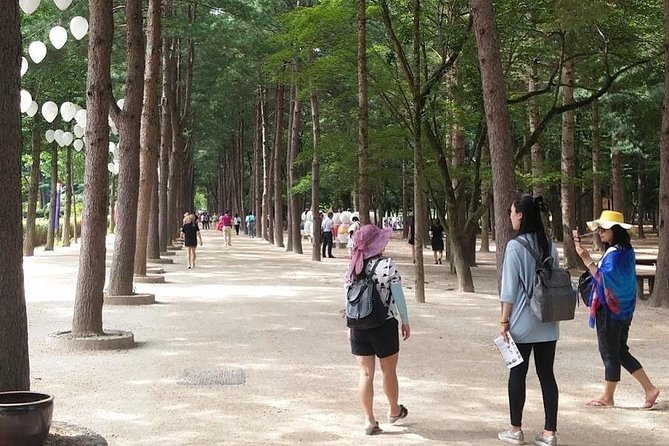 [ Full Day Private Tour ] Nami Island and Petite France - Important Safety Notes