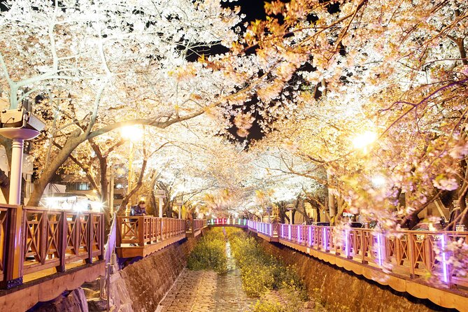 Jinhae Cherry Blossom Festival Tour - Pricing and Booking Options