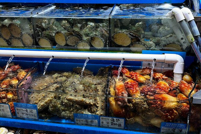 Korean Market Adventure With Chef Yie - Noryangjin Fish Market - Fresh Seafood Lunch Experience