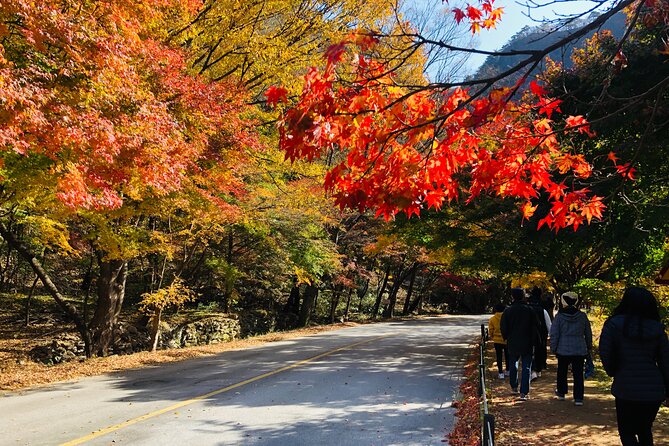 Mt. Naejang Autumn Foliage and Jeonju Hanok Village 1 Day Tour - Important Reminders and Warnings