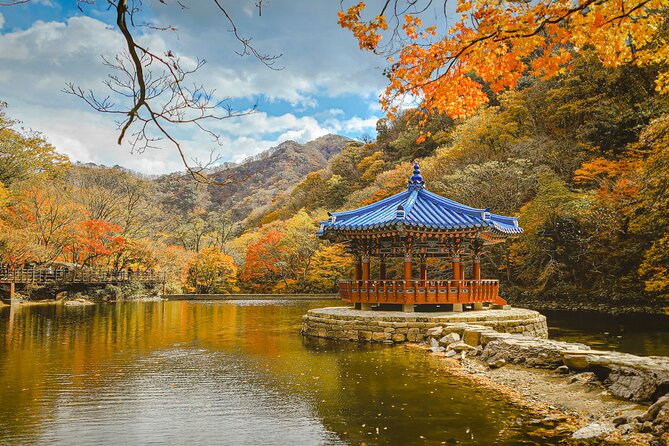 Mt. Naejang Sightseeing Trip From Seoul - What to Expect on the Tour