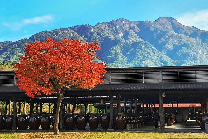 Nami & Happy Chowon Panorama Field & Gangchon Railbike - Tour Inclusions and Perks