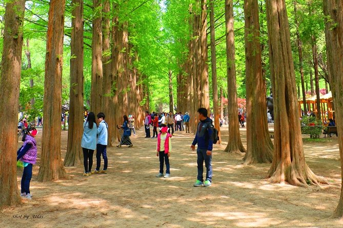 Nami Island and Petite France {Private Day Tour} - Important Tour Notes and Reminders