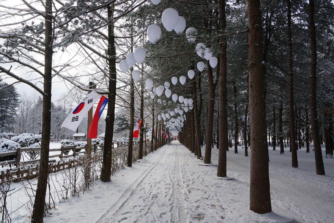 [Private Tour] Nami Island & Ski (Ski Lesson, Equip & Clothing Included) - Planning and Preparation Tips