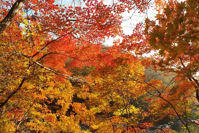 Scenic Jiri Mountain Autumn Foliage One Day Tour - Important Tour Details