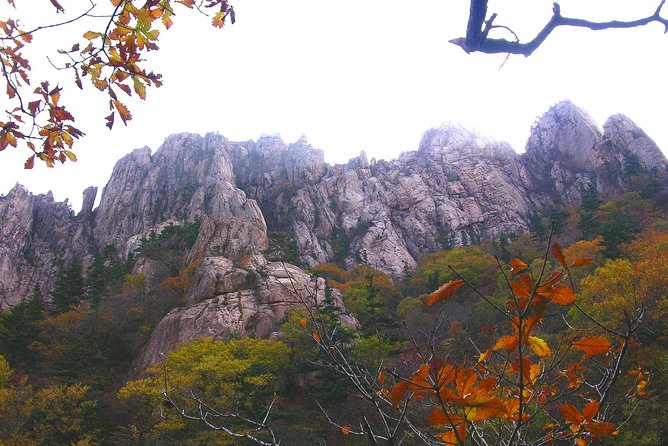 Seoraksan Daecheongbong(1,708m) Peak Hiking [1-Day Tour From Seoul] - Physical Demands and Restrictions