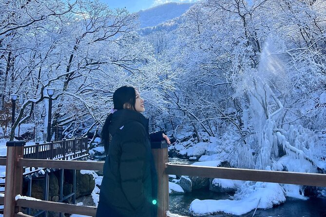 Shared Korean Winter Tour at Nami Island With Professional Guide - Meeting Points and Timing