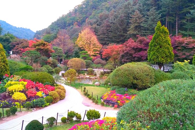 VIP Private Nami Island & Petite France & Garden of Morning Calm - Pricing and Booking Information