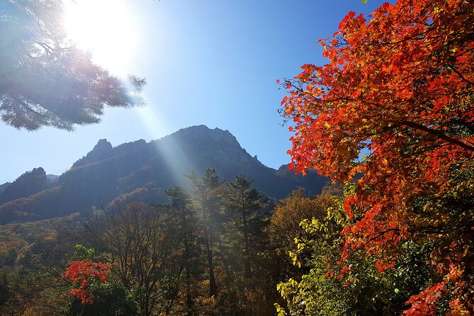 2-days: Mt Seorak, East Sea(Naksansa) & Nami or Ulsanbawi Hiking - Pick-Up and Meeting Points