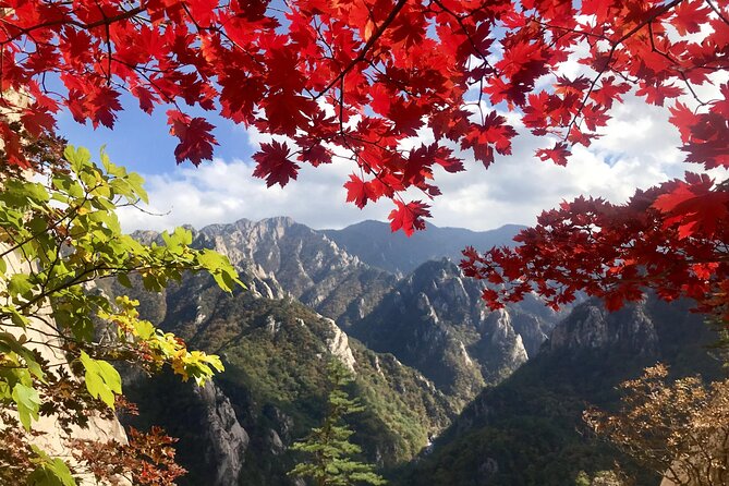 Autumn Limited: Seoraksan X Maple Mountain Cable Car Tour - Booking and Pricing Information