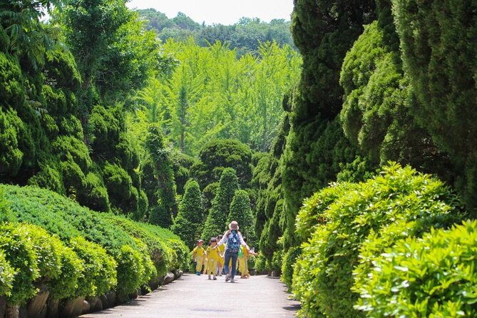 Beartree Park With Admission Ticket to Arboretum in Sejong - Cancellation and Refund Policy