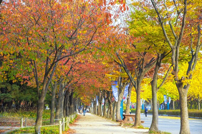 Best View Seoul Autumn Foliage Tour - Essential Tour Information