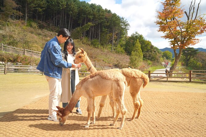 Full-Day Legoland and Alpaca World Guided Tour From Seoul - Cancellation and Refund Policy