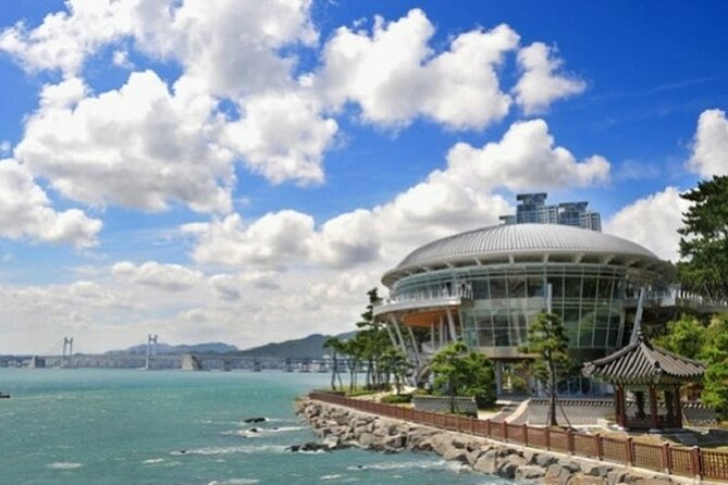 Full Day Private Busan Tour - Important Tour Policies and Notes