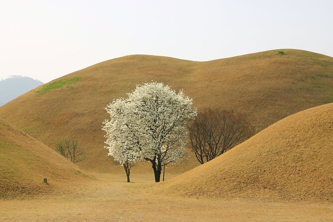 Full-Day Small Group Gyeongju History Tour From Seoul - Tour Schedule and Timeline