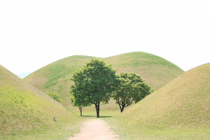 Gyeongju UNESCO World Heritage Tour Including Bulguksa From Seoul by KTX Train - Professional Guide and Support