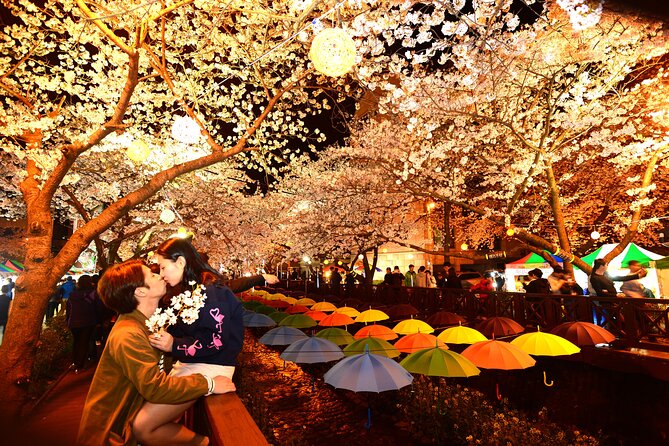 Jinhae Cherry Blossom Festival Tour - What to Expect and Prepare