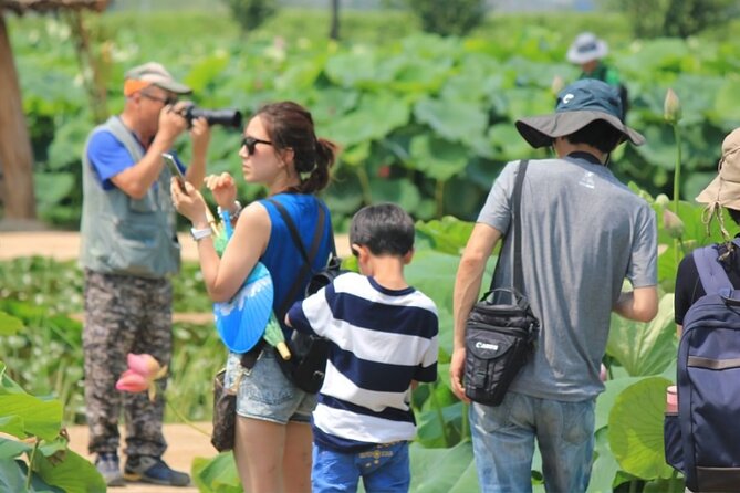 Lotus Flowers and Sunflower Field Tour From Busan - Important Safety Considerations