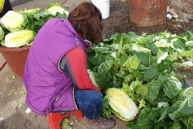 Making Kimchi at a Country Farm Near Busan for the Month of November - What to Expect on the Farm