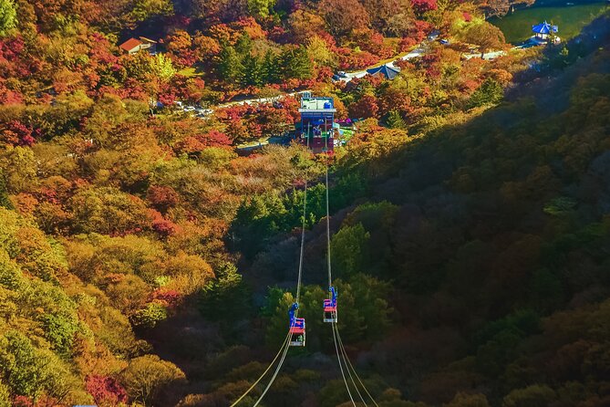 Mt. Naejang Sightseeing Trip From Seoul - Travel Tips and Essentials