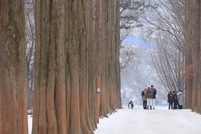 Nami Island and Petite France {Private Day Tour} - Cancellation and Refund Policy