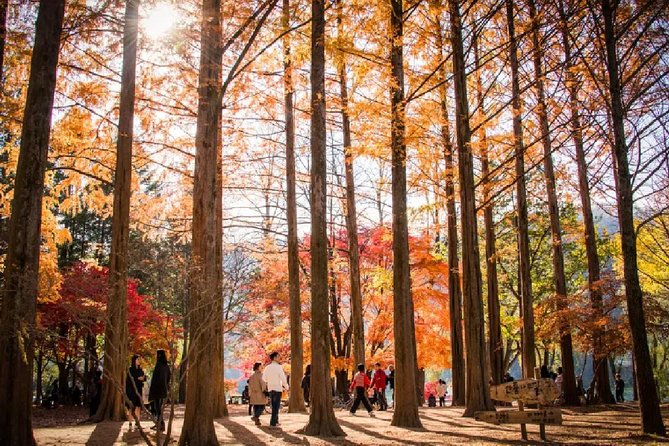 Nami Island Petit France Bus Tour - Tour Schedule and Duration