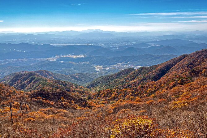 Palgongsan Natural Park Autumn Foliage One Day Tour From Busan - Preparing for Autumn Foliage