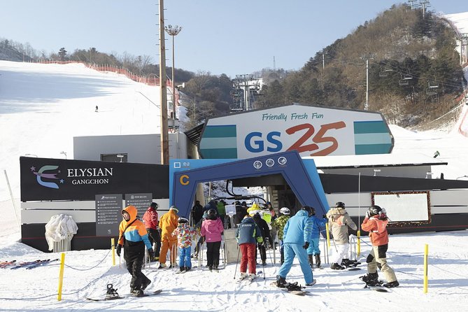 [Private Tour] Nami Island & Ski (Ski Lesson, Equip & Clothing Included) - Essential Information and Reminders