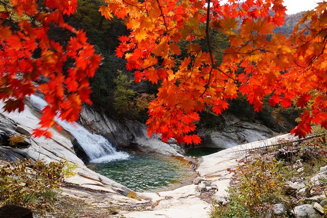 Seoraksan Daecheongbong(1,708m) Peak Hiking [1-Day Tour From Seoul] - Schedule and Pickup Details