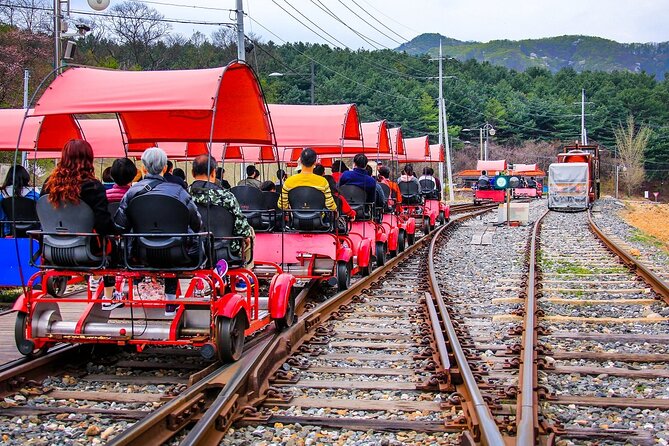 Special Private Tour Nami Island, Rail Bike, Petite France - Cancellation and Refund Policy